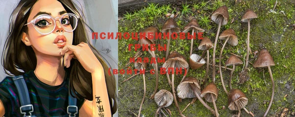 apvp Балабаново