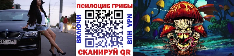 Купить где  Дивногорск  Галлюциногенные грибы Magic Shrooms 